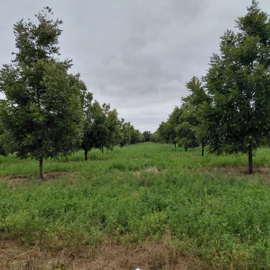 Commercial Property for Sale in Hartswater Rural Northern Cape